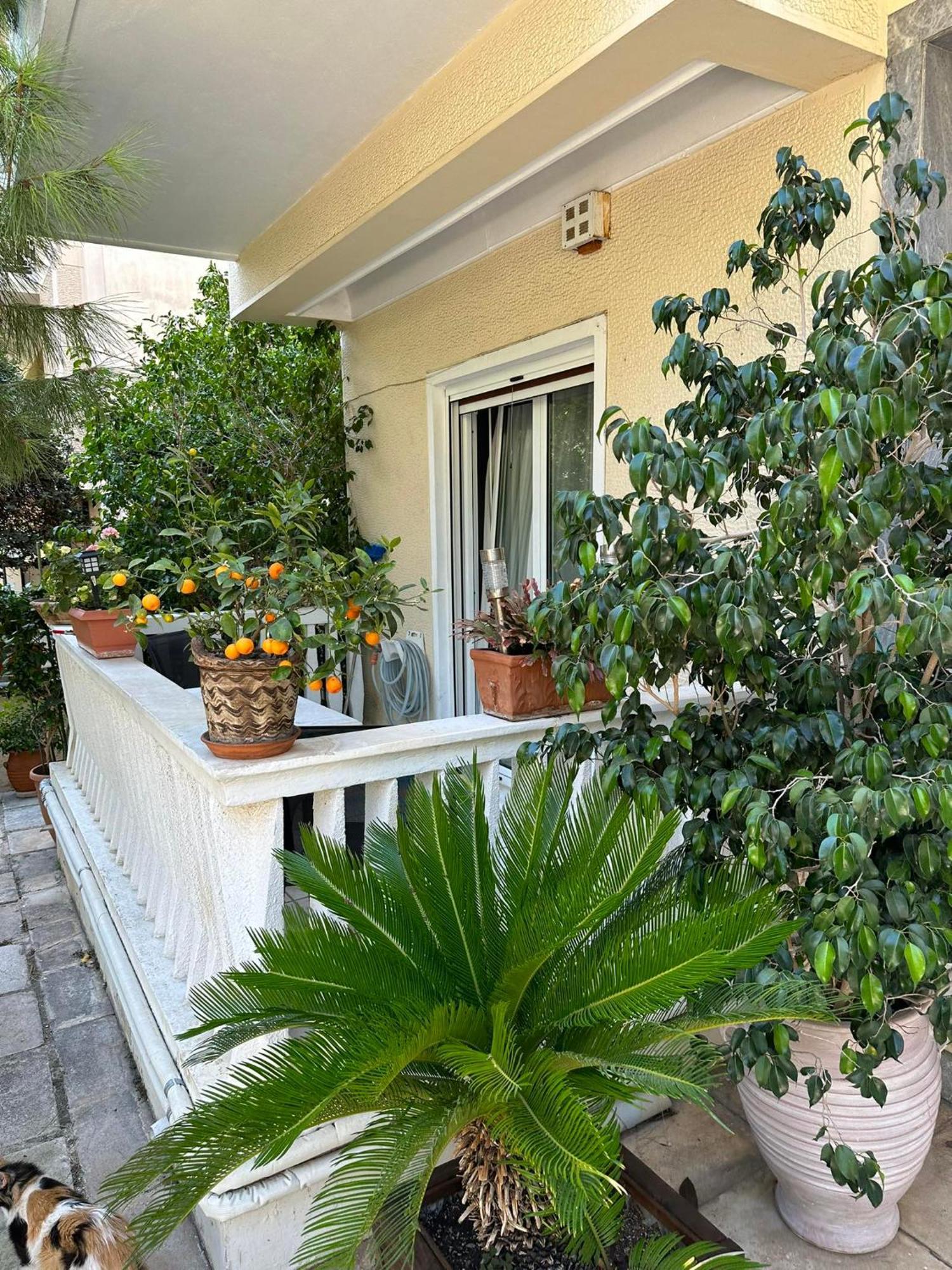 Angel , Luxury 2Bd Apartment Next To The Beach Athén Kültér fotó